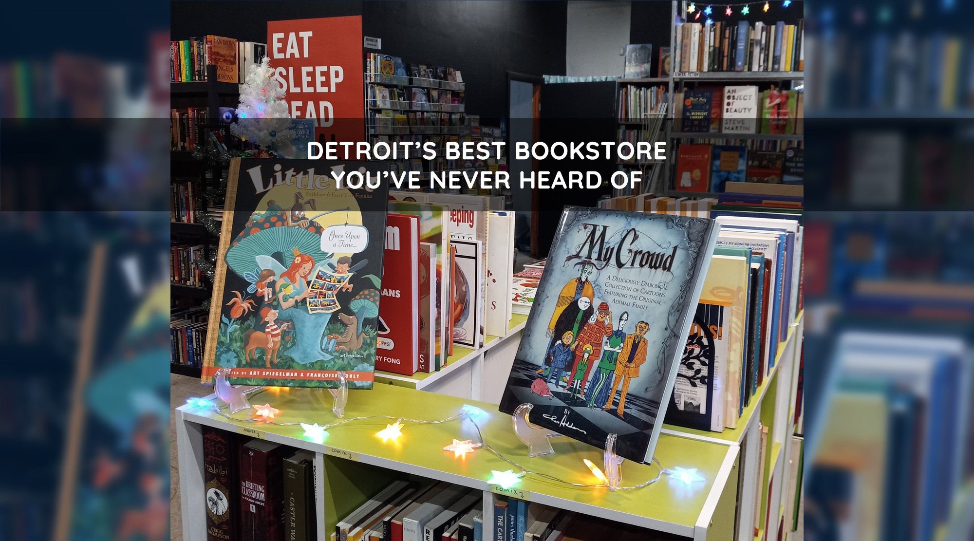 Photograph of a comic book/graphic novel display in the store, with the text "Detroit's best bookstore you've never heard of" superimposed over the top of the image.